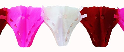 Yani’s Gifts Lingerie Party Decorations, Bra and Panties Tissue Paper Streamers Banner, 1 Bra and 1 Panty, Each Over 8.5 ft Long, Stag Party, Hen Party, Final Fiesta Bachelorette Party, Bridal Shower