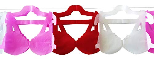 Yani’s Gifts Lingerie Party Decorations, Bra and Panties Tissue Paper Streamers Banner, 1 Bra and 1 Panty, Each Over 8.5 ft Long, Stag Party, Hen Party, Final Fiesta Bachelorette Party, Bridal Shower