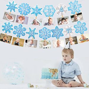 Snowflake First Birthday Party Decoration Snowflake Theme 1st Birthday Photo Banner for Newborn to 12 Months for Baby Shower Winter Onederland Party Supplies