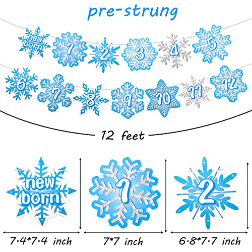 Snowflake First Birthday Party Decoration Snowflake Theme 1st Birthday Photo Banner for Newborn to 12 Months for Baby Shower Winter Onederland Party Supplies