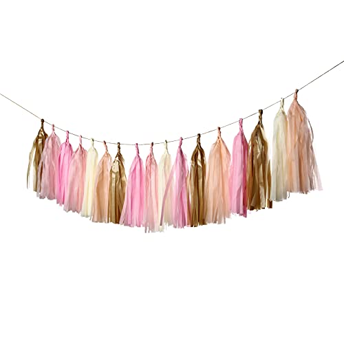 GUZON 25 PCS DIY Tassel Garland Tissue Paper Tassel Banner Pompom for Wedding, Bachelorette, Baby Shower Christmas, Birthday Home Decorations