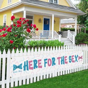 here for the sex large banner, baby shower lawn sign, gender reveal party porch decoration, indoor outdoor backdrop 8.9 x 1.6 feet
