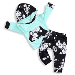 happyma happma infant baby girl fall outfits long sleeve floral hoodie tops pants clothes set 6-12(80), green+black, 6-12 months
