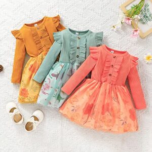 Baby Toddler Girls Fall Winter Long Sleeve Dress Floral Princess Casual Dress Kids Ribbed Tutu Skirt