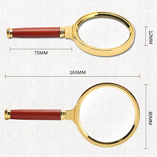 Magnifying Glass 6X Magnification Magnifier Handheld Magnifier for Science, Reading Book, Inspection. (6X Handheld Magnifier)