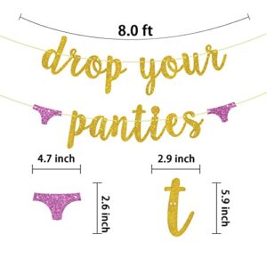 Drop Your Panties Banner Gold Glitter Bacheloretter, Lingerie Shower, Wedding Birthday Party Decorations Banner Sign