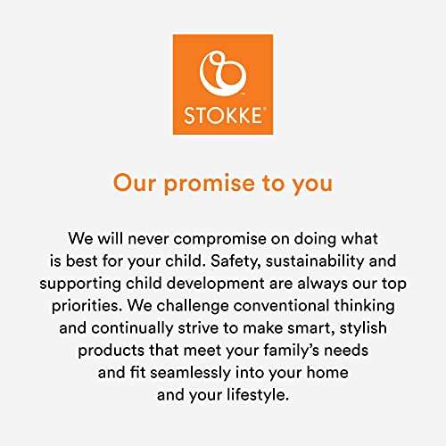 Stokke Steps Bouncer, Deep Grey - Allows Independent Bouncing & Provides Soft Cradling Motion - Use Alone or with Stokke Steps Chair - Certified by JPMA