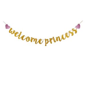 welcome princess banner, baby shower party sign, gender reveal party bunting, welcome baby girl banner, baby girl’s birthday party decorations