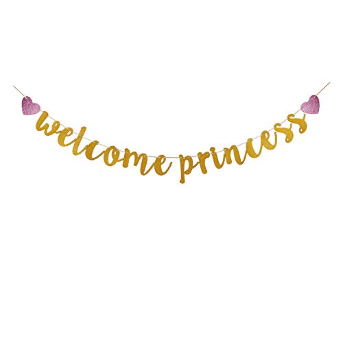 Welcome Princess Banner, Baby Shower Party Sign, Gender Reveal Party Bunting, Welcome Baby Girl Banner, Baby Girl's Birthday Party Decorations