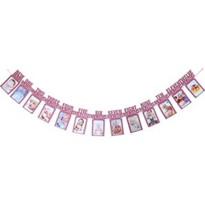 1st birthday photo banner, first birthday party supplies, baby photo decorations from new born to 12 months, pink glitter first birthday bunting-pink