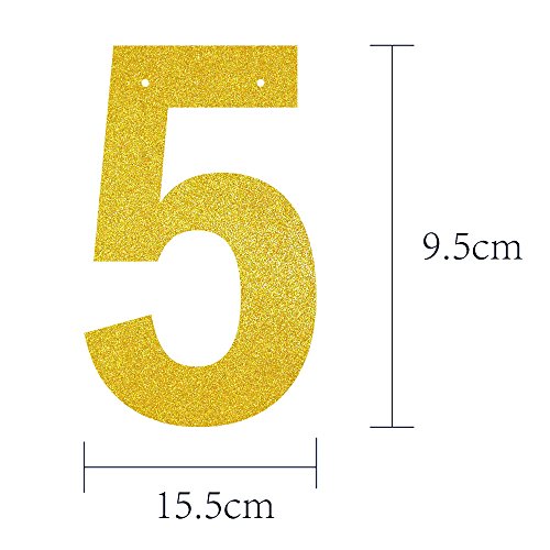 GOER Gold Glitter HAPPY 50TH BIRTHDAY Banner for 50th Birthday Party Decorations