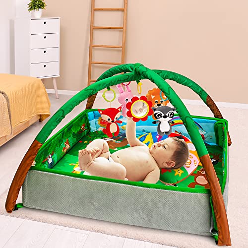 teytoy 6 in 1 Baby Play Mat Thicker Baby Play Gym High Stable Baby Activity Mat Baby Toys 6 to 12 Months with Musical Plush Newborn Toys, Baby Mirror, Tummy Time Pillow for Sensory Skills Development