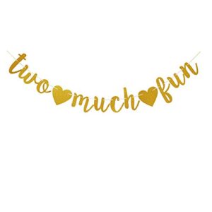 two much fun banner, fun sign for baby’s/kid’s/boy’s/girl’s 2nd birthday party supplies, gold birthday party decorations