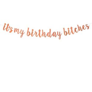 rose gold glitter it’s my birthday bitches banner – happy birthday banner – congratulations funny birthday party decorations