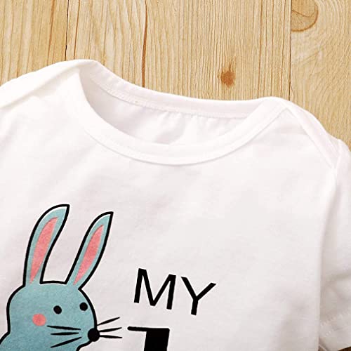 Gushehua 3Pcs Baby boy Easter Outfit Short Sleeve Bodysuit Romper Rabbit Pants Headband Bunny Ear Hat Summer Clothes (White +Blue, 12-18Months)