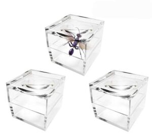 magnipros pack of 3 magnifier box bug viewer magnifies up to 5x(500%) with crystal clear image