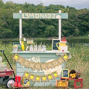 JOZON Lemonade Burlap Banner and Lemon Burlap Banner Jute Summer Lemon Theme Bunting Banner Garland Summer Lemon Theme Birthday Baby Shower Party Decor Lemonade Stand Decorations