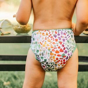 Best Bottom Hedgehog Cloth Diaper Shell-Snap | Reusable Diapers Shell Made of Durable Waterproof Materials | Eco-Friendly Washable Diapers Saves You Money from Disposable Diapers | PUL Fabric