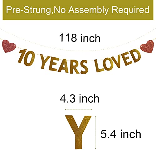 10 YEARS LOVED Banner for 10th Birthday /Wedding Anniversary Party Decorations Supplies, Pre-strung, No Assembly Required, Gold Glitter Paper Garlands Banner, Backdrops, Letters Gold, Betteryanzi