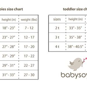 Babysoy Organic Modern Solid Bundler/Gown (6-12 Months, Rainbow)