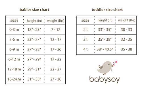 Babysoy Organic Modern Solid Bundler/Gown (6-12 Months, Rainbow)