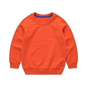 Kids Baby Boy Girl Crewneck Long Sleeve Pullover Tops Blouse Toddler Solid Cotton Sweatshirt T-Shirt for 1-8 Years (2 Pack(Orange+Gray),6 Years)