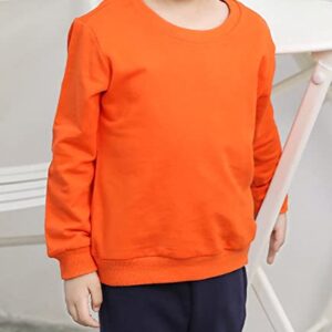 Kids Baby Boy Girl Crewneck Long Sleeve Pullover Tops Blouse Toddler Solid Cotton Sweatshirt T-Shirt for 1-8 Years (2 Pack(Orange+Gray),6 Years)