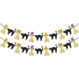 Hocus Pocus Bachelorette Party Banner Garland for Houcs Pocus Bachelorette Party Halloween Bachelorette Party Decorations