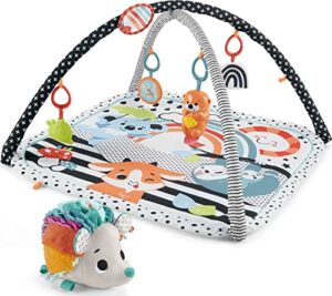 ​fisher-price 3-in-1 baby gym and activity mat gift set with hedgehog plush sensory-toy, music glow and grow gym [amazon exclusive]