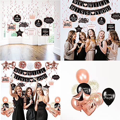 Rose Gold Farewell Party Decorations Supplies Kit, We Will Miss You Decorations, Going Away Party Decorations, Will Miss You Banner, Great for Retirement Farewell Going Away Job Change Party