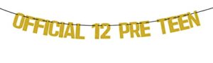 official 12 pre teen banner, boy/girl 12th birthday banner, cheers to 12 years banner, 12 years loved blessed decorations banner, happy 12th birthday anniversary party decoration supplies gold glitter