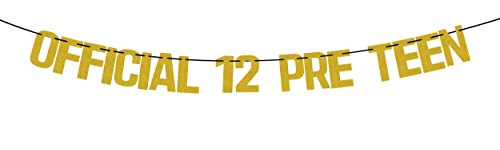 Official 12 Pre Teen Banner, Boy/girl 12th Birthday Banner, Cheers to 12 Years Banner, 12 Years Loved Blessed Decorations Banner, Happy 12th Birthday Anniversary Party Decoration Supplies Gold Glitter