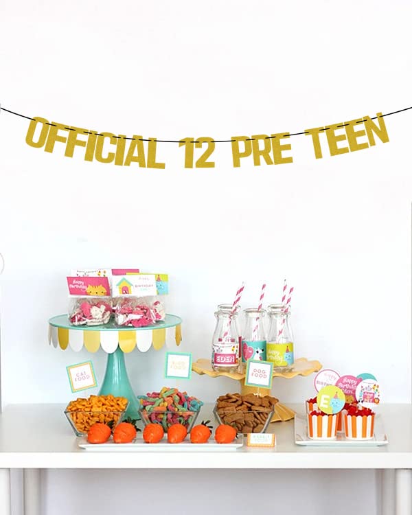 Official 12 Pre Teen Banner, Boy/girl 12th Birthday Banner, Cheers to 12 Years Banner, 12 Years Loved Blessed Decorations Banner, Happy 12th Birthday Anniversary Party Decoration Supplies Gold Glitter