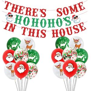 funny christmas glitter banner there’s some ho ho hos in this house banner balloons decorations for winter merry xmas background baby shower decoration photo booth props