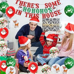 Funny Christmas Glitter Banner There's Some Ho Ho Hos in This House Banner Balloons Decorations for Winter Merry Xmas Background Baby Shower Decoration Photo Booth Props