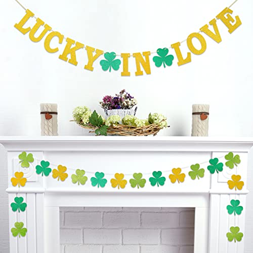 Whaline 2Pcs St. Patrick's Day Banner Glitter Gold Green Lucky Shamrock Clover Hanging Bunting Garland DIY Irish Style Banner for Party Home Office Mantel Fireplace Wall Decoration