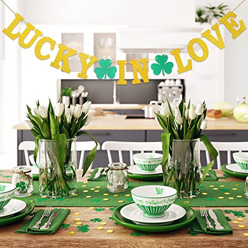 Whaline 2Pcs St. Patrick's Day Banner Glitter Gold Green Lucky Shamrock Clover Hanging Bunting Garland DIY Irish Style Banner for Party Home Office Mantel Fireplace Wall Decoration