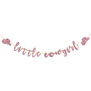 talorine little cowgirl banner, west theme baby shower, baby girls 1st birthday banner, pregnancy announcement, gender reveal mexican party decorations, pink glitter