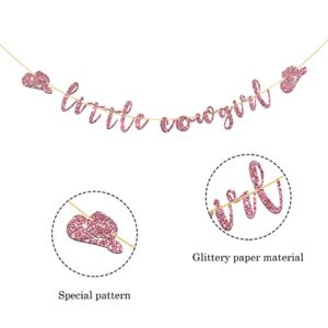 Talorine Little Cowgirl Banner, West Theme Baby Shower, Baby Girls 1st Birthday Banner, Pregnancy Announcement, Gender Reveal Mexican Party Decorations, Pink Glitter
