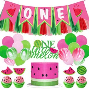 watermelon birthday party decorations one in a melon cake topper watermelon cupcake topper melon balloon 1st bday high chair banner for summer fruit themed first birthday party supplies glitter decor