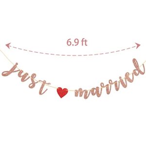 KakaSwa Just Married Banner, Wedding Party / Birdal Shower / Engagement Party Decorations, Hanging Banner for Wedding Party, Theme Party Supplies - Rose Gold