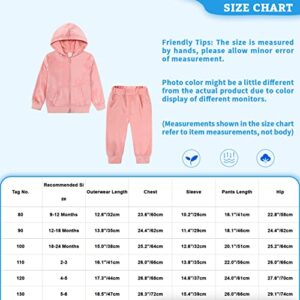 iiniim Toddler Baby Girls Velour Sweatsuits 2 Piece Tracksuits Outfits Zip Up Hoodie & Sweatpant Velvet Jogging Suit Pink 4-5 Years