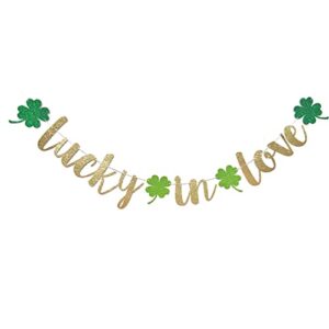 PRETYZOOM 2pcs St. Patricks Day Banners Shamrock Clover Banner Lucky in Love Irish Shamrock Banners Garland St. Patricks Day Decorations for St. Patricks Day Party Use