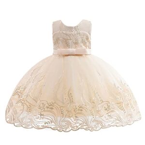 lenefu baby girl dress kids formal flower lace embroidery,sleeveless princess gown for party wedding pageant(champagne130)