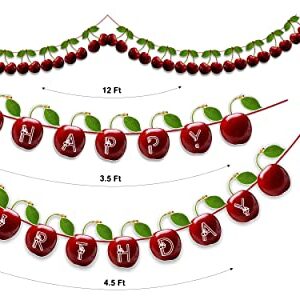 Seyal®- Cherry Theme Birthday Party Supplies