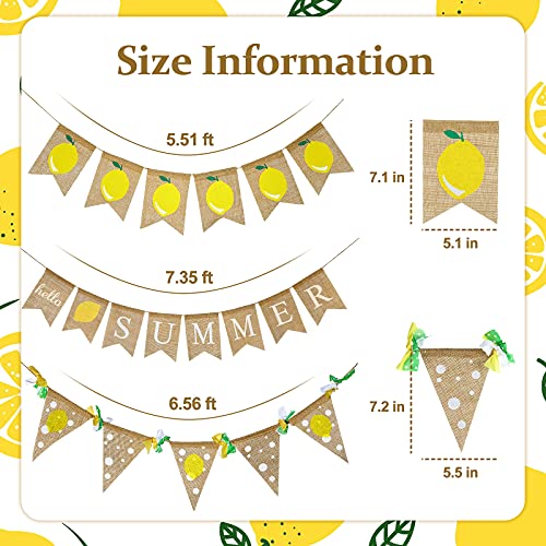 Touman 3 Pieces Summer Lemon Burlap Banner Hello Summer Banner Lemon Themed Banner Flag Garland Summer Lemon Fruit Party Supply for Birthday Anniversary Baby Shower Fireplace Mantel Decoration