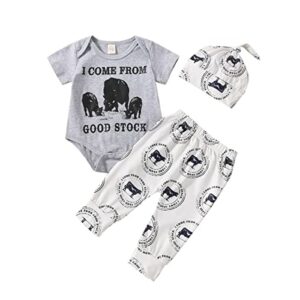 3PCS Newborn Baby Boy Clothes Western Cowboy Letter Printed Bodysuit Romper Pants Hats Coming Home Outfits (Come Good Stock Summer, 0-3 Months)