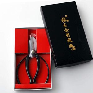 Hanafubuki Wazakura Ikebana Scissors MADE IN JAPAN 6.7 inch (170 mm), Japanese Flower Arranging Tools, Kado Hasami Shears - Koryu Black