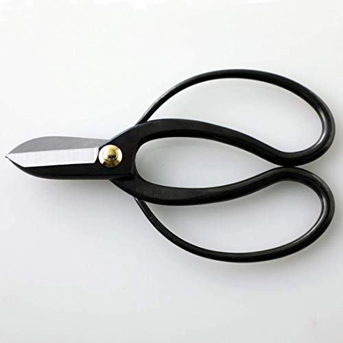 Hanafubuki Wazakura Ikebana Scissors MADE IN JAPAN 6.7 inch (170 mm), Japanese Flower Arranging Tools, Kado Hasami Shears - Koryu Black