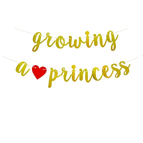 Growing A Princess Banner Baby Shower, Baby Sprinkle, a Girl Comes Pre-Strung Paper Gold Fancy